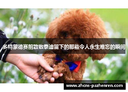 多特蒙德赛前致敬泰迪留下的那些令人永生难忘的瞬间