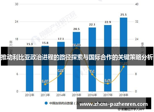 推动利比亚政治进程的路径探索与国际合作的关键策略分析