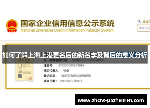 如何了解上海上港更名后的新名字及背后的意义分析